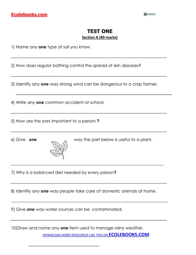 Cover of Primary 4 Science Workbook: Practice Tests with Sections A and B (P4 Science Past Paper)