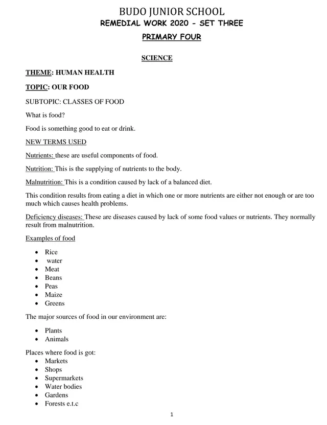 Cover of P4 Science Remedial Work 2020 Set 3: Our Food – Classes of Food (P4 Science Past Paper)